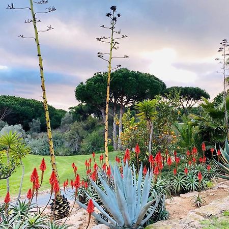 Algarve Luxury Experience - Situated Within The Pinecliffs Resort Αλμπουφέιρα Εξωτερικό φωτογραφία